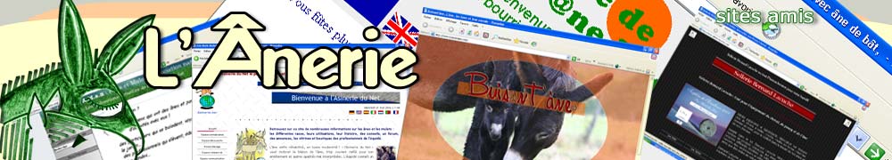 Les sites  sur le web